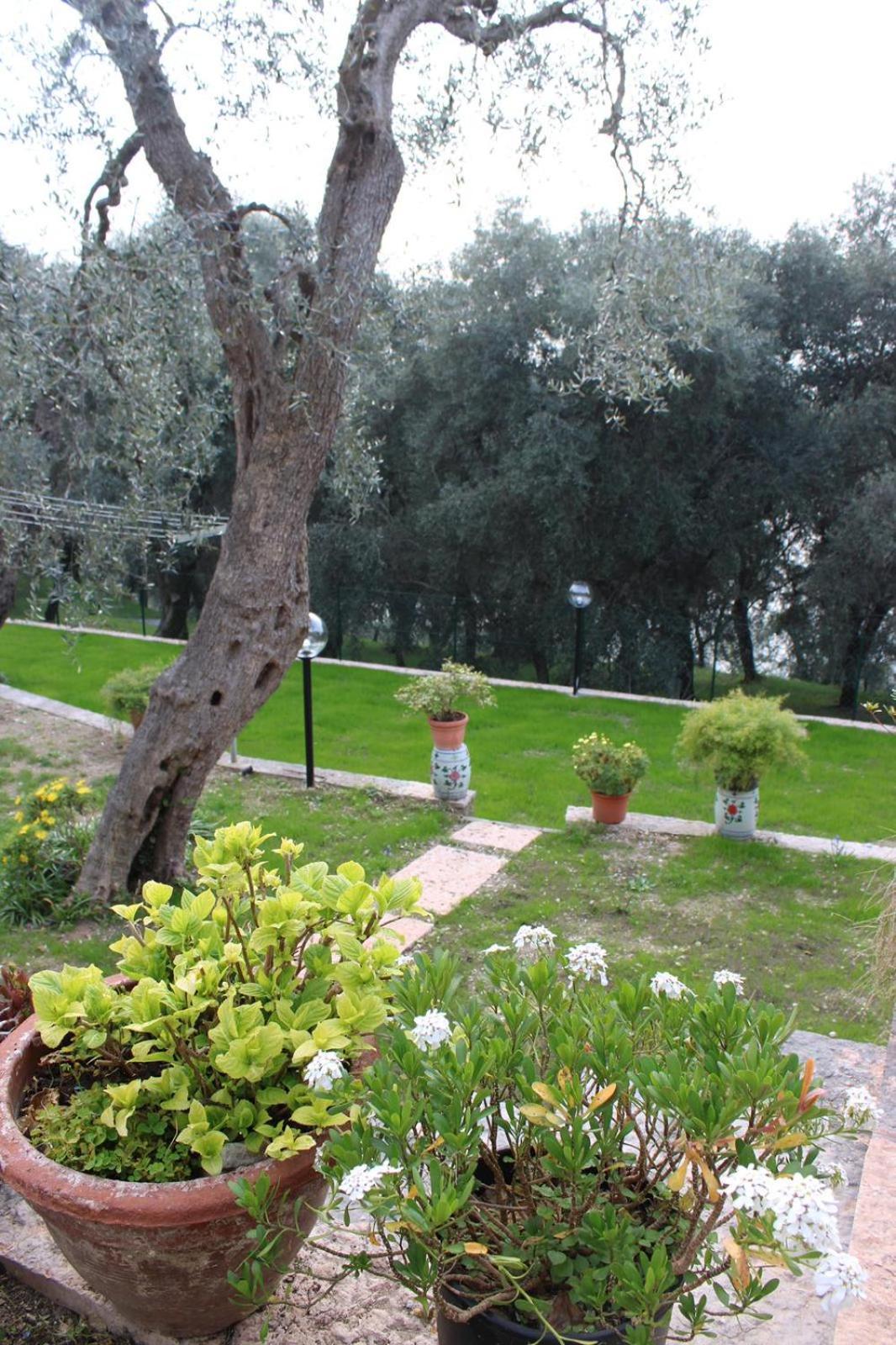 Casa Antony Apartment Torri Del Benaco Bagian luar foto